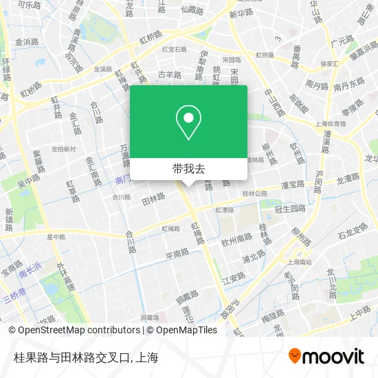 桂果路与田林路交叉口地图