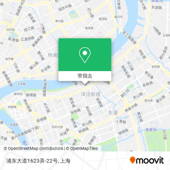 浦东大道1623弄-22号地图