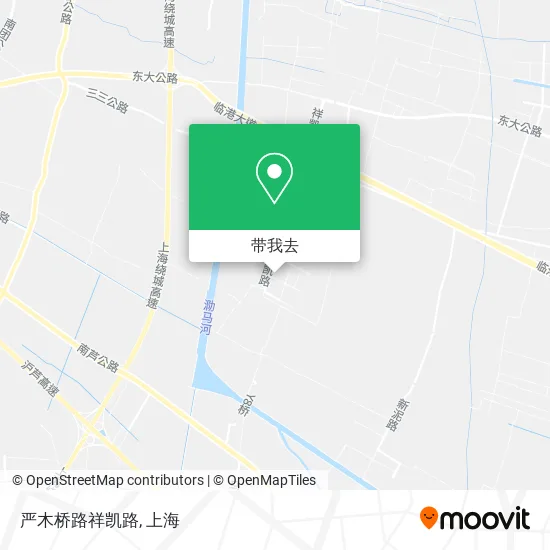 严木桥路祥凯路地图