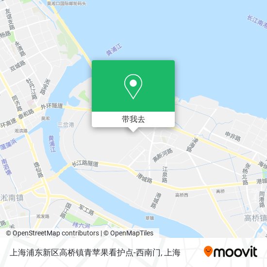 上海浦东新区高桥镇青苹果看护点-西南门地图