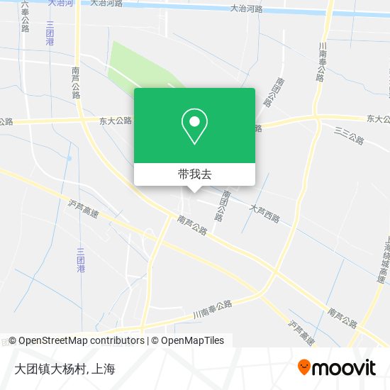 大团镇大杨村地图