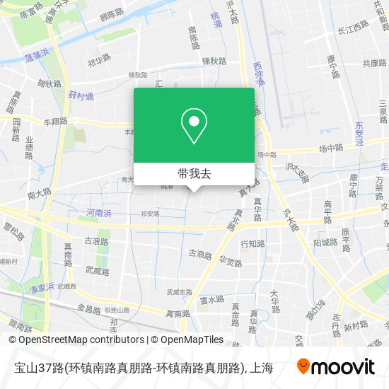 宝山37路(环镇南路真朋路-环镇南路真朋路)地图