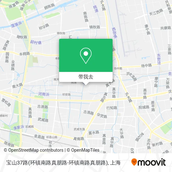 宝山37路(环镇南路真朋路-环镇南路真朋路)地图