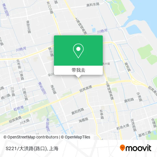 S221/大洪路(路口)地图
