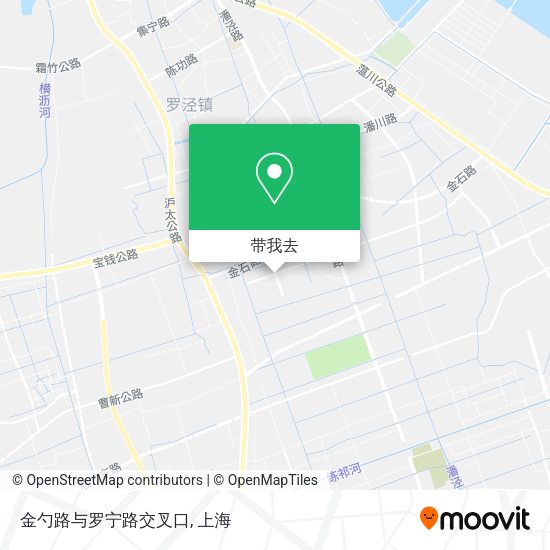 金勺路与罗宁路交叉口地图