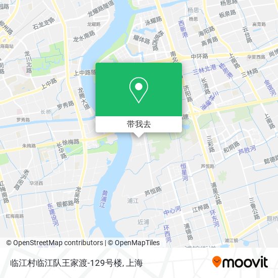临江村临江队王家渡-129号楼地图