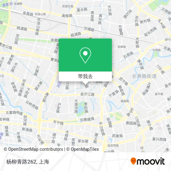 杨柳青路262地图