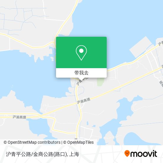 沪青平公路/金商公路(路口)地图