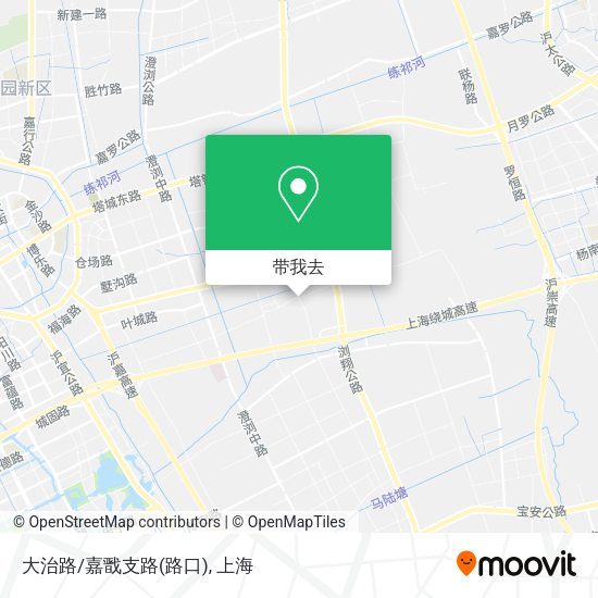 大治路/嘉戬支路(路口)地图