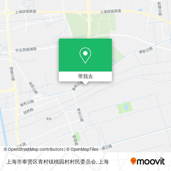 上海市奉贤区青村镇桃园村村民委员会地图