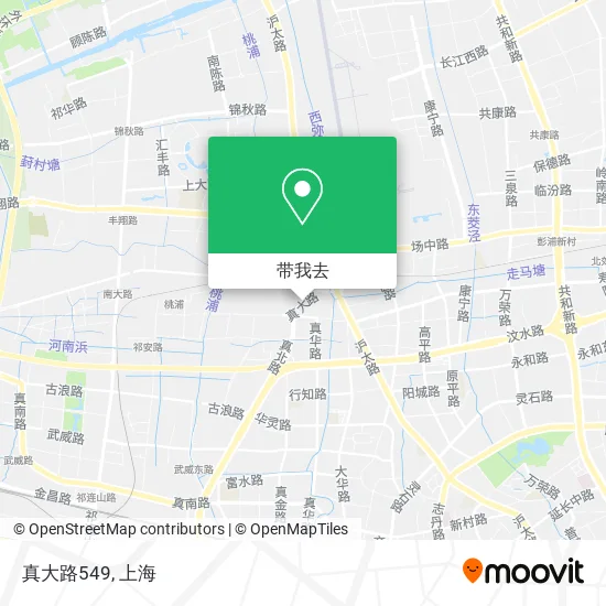 真大路549地图