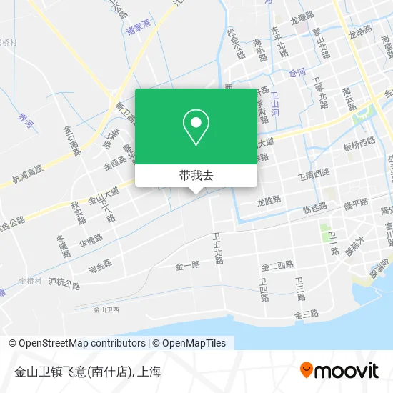 金山卫镇飞意(南什店)地图
