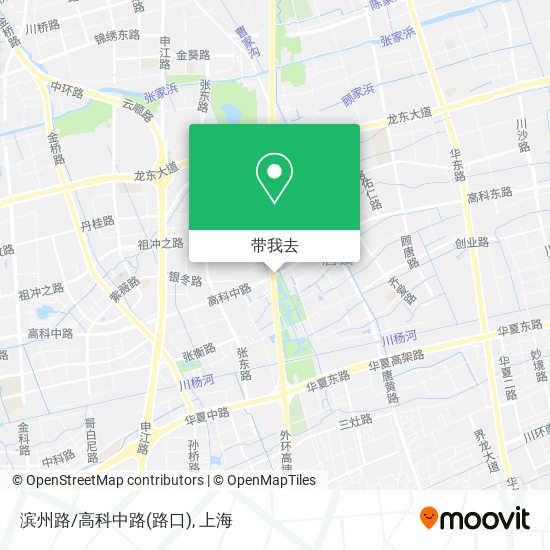 滨州路/高科中路(路口)地图