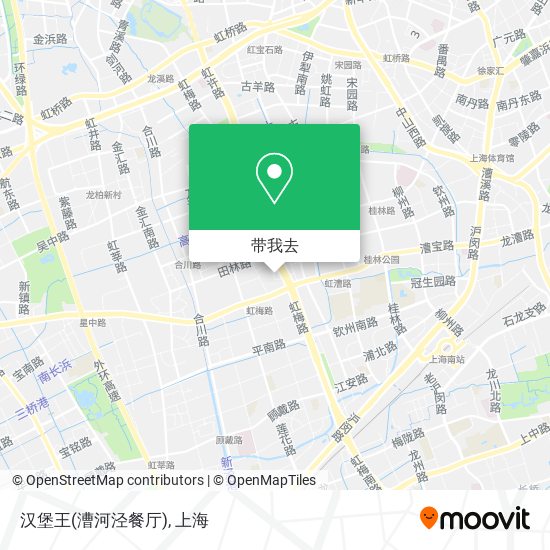 汉堡王(漕河泾餐厅)地图