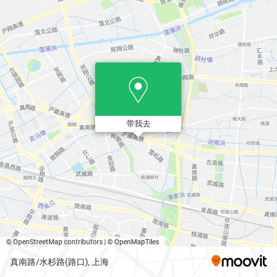真南路/水杉路(路口)地图
