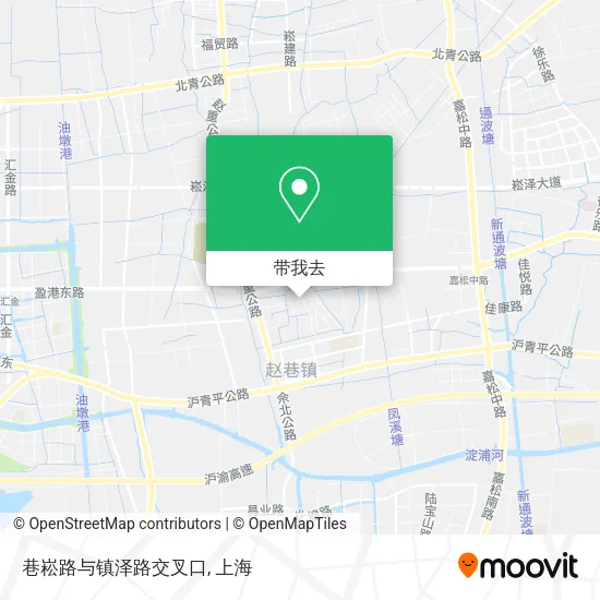 巷崧路与镇泽路交叉口地图