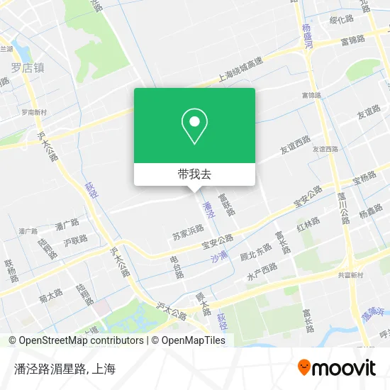 潘泾路湄星路地图