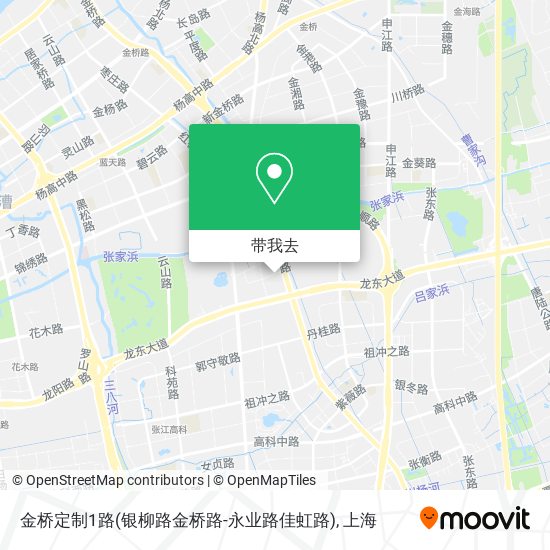 金桥定制1路(银柳路金桥路-永业路佳虹路)地图