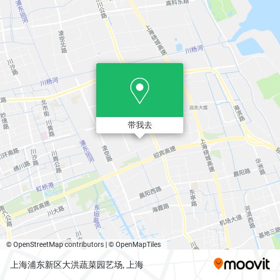 上海浦东新区大洪蔬菜园艺场地图