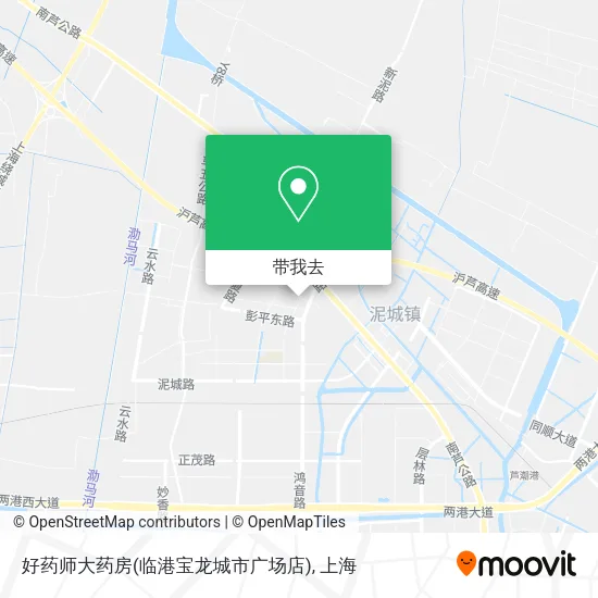 好药师大药房(临港宝龙城市广场店)地图