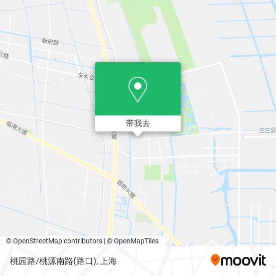 桃园路/桃源南路(路口)地图