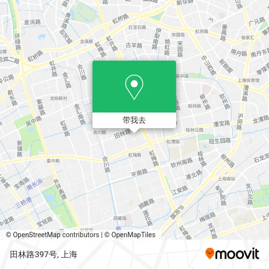 田林路397号地图
