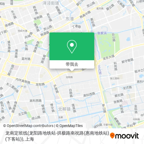 龙南定班线(龙阳路地铁站-拱极路南祝路(惠南地铁站)(下客站))地图