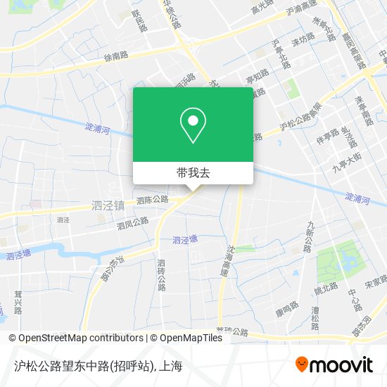沪松公路望东中路(招呼站)地图