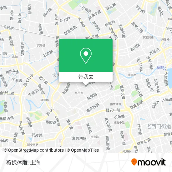 薇妮体雕地图