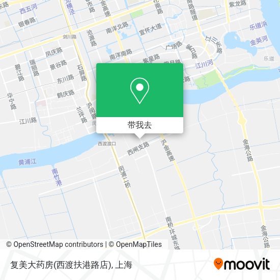 复美大药房(西渡扶港路店)地图