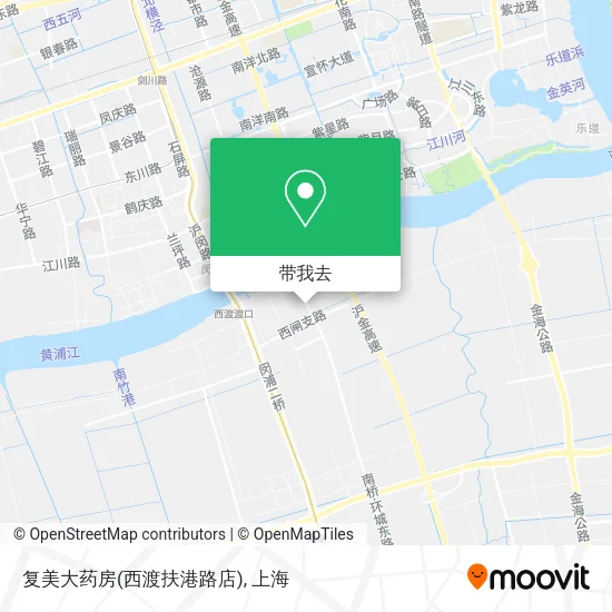 复美大药房(西渡扶港路店)地图