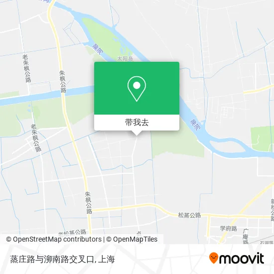蒸庄路与泖南路交叉口地图