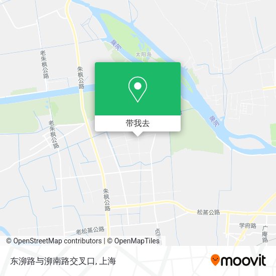 东泖路与泖南路交叉口地图