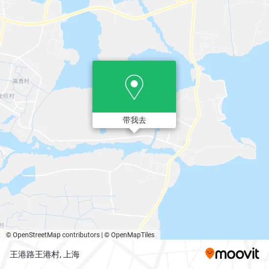 王港路王港村地图