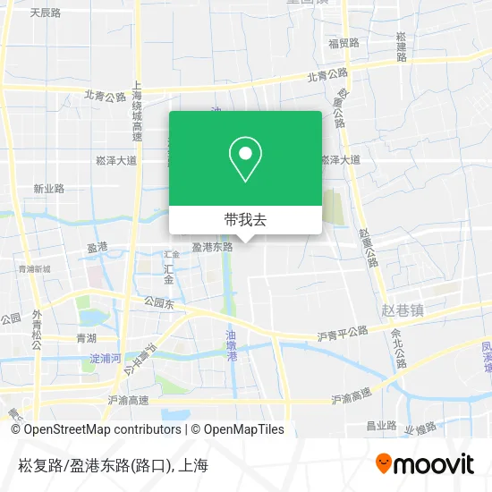 崧复路/盈港东路(路口)地图