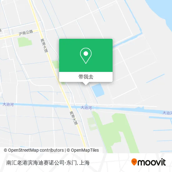 南汇老港滨海迪赛诺公司-东门地图