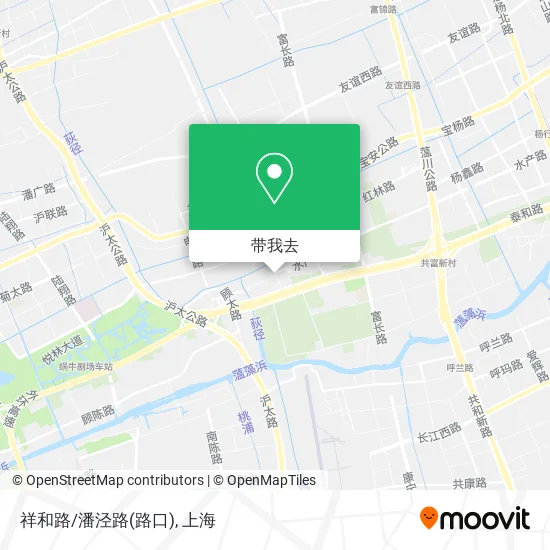 祥和路/潘泾路(路口)地图