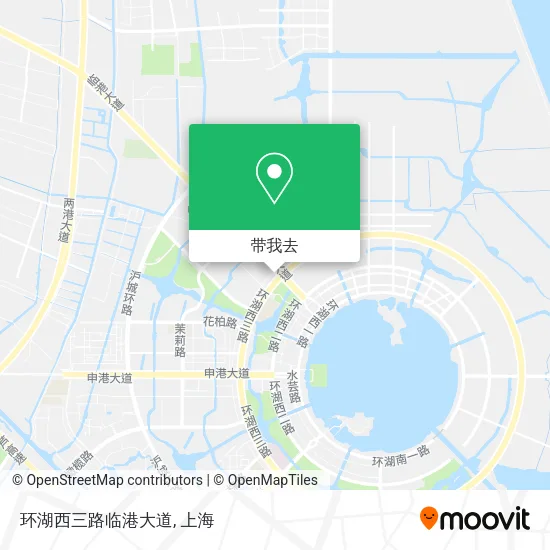 环湖西三路临港大道地图