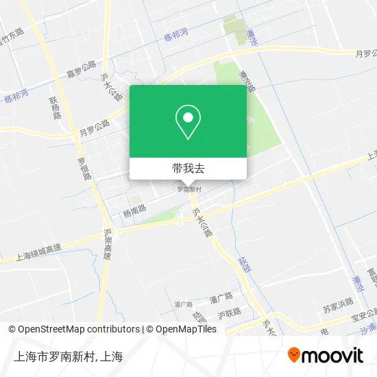 上海市罗南新村地图