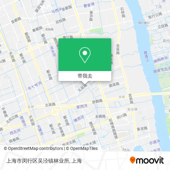 上海市闵行区吴泾镇林业所地图