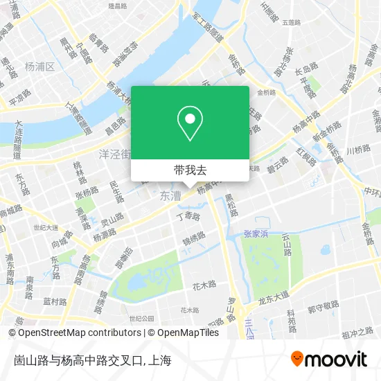 崮山路与杨高中路交叉口地图