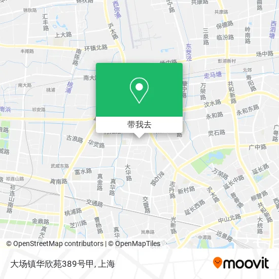 大场镇华欣苑389号甲地图