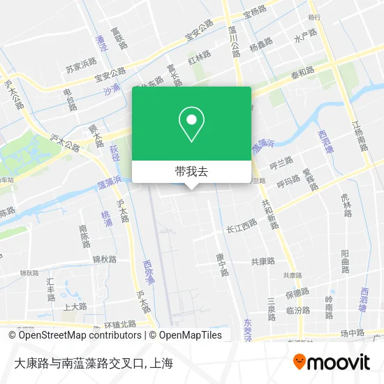 大康路与南蕰藻路交叉口地图