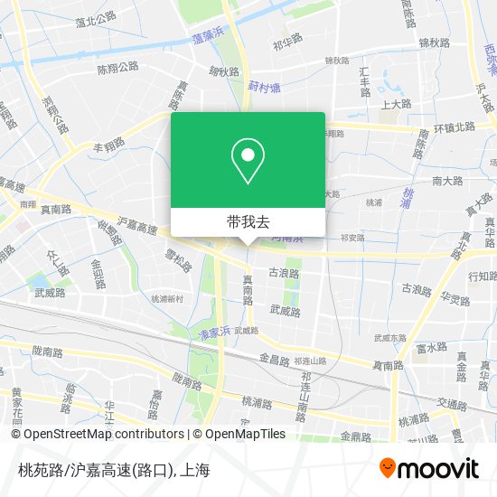 桃苑路/沪嘉高速(路口)地图