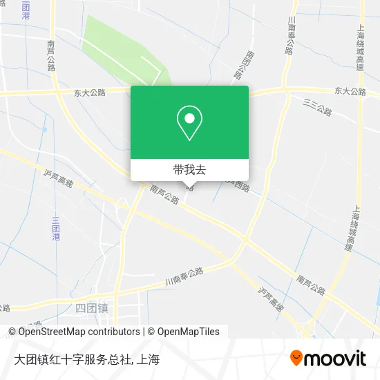 大团镇红十字服务总社地图