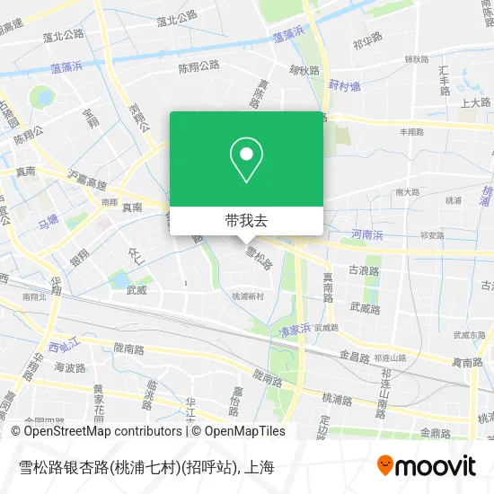 雪松路银杏路(桃浦七村)(招呼站)地图