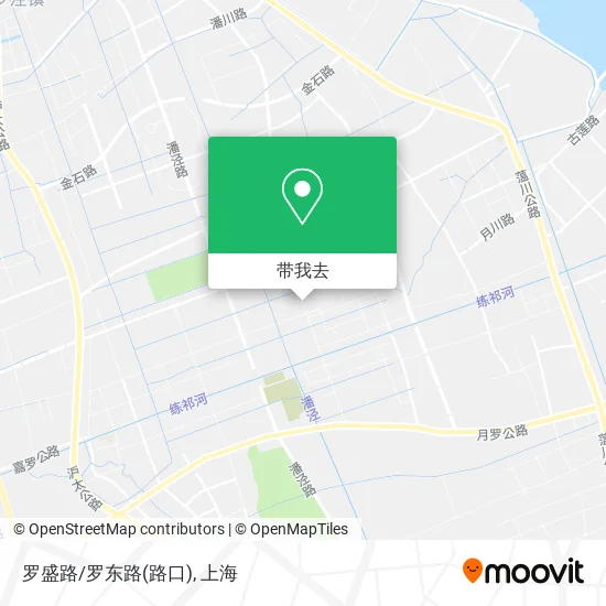 罗盛路/罗东路(路口)地图
