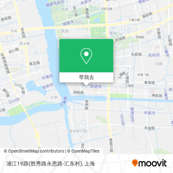 浦江19路(胜秀路永恩路-汇东村)地图
