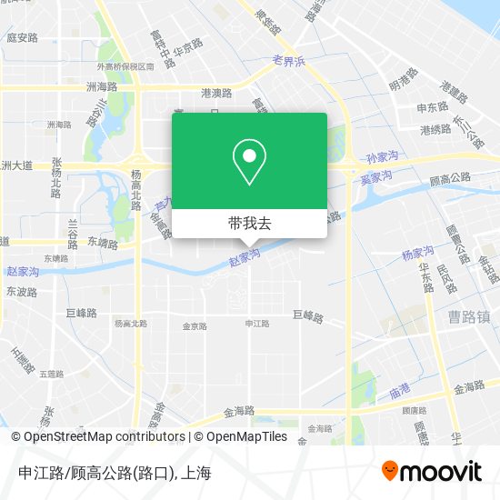申江路/顾高公路(路口)地图