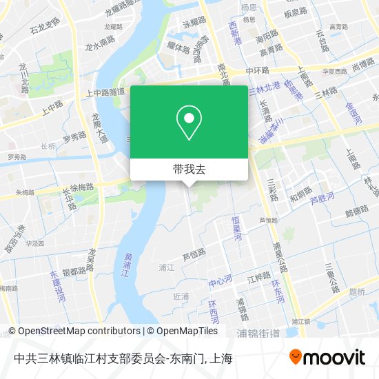 中共三林镇临江村支部委员会-东南门地图